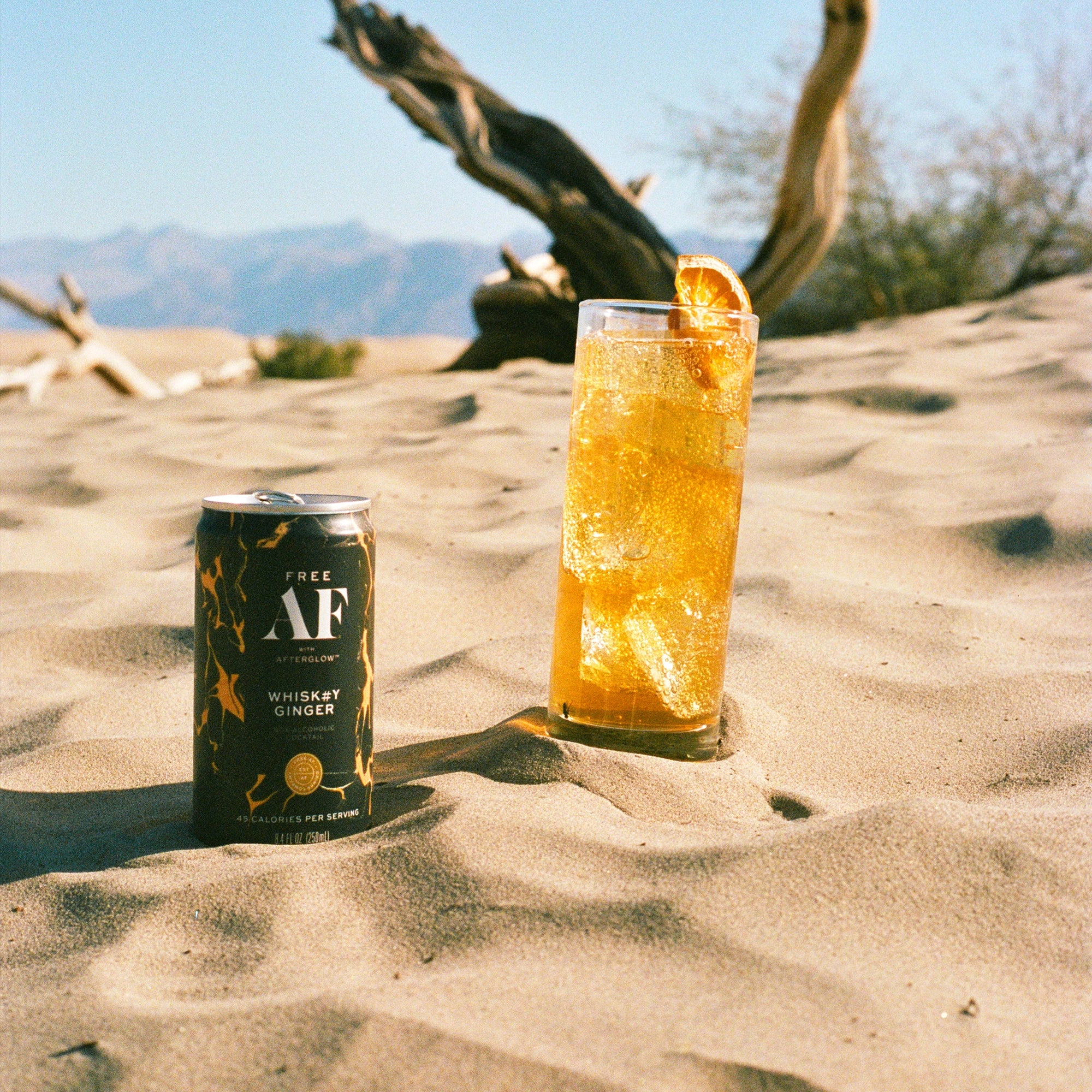 Two people holding glasses with orange drinks near cacti.